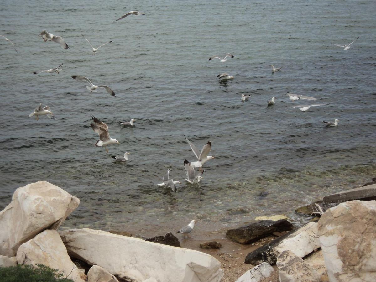 فيلا Aegean Balcony Skála Kallirákhis المظهر الخارجي الصورة